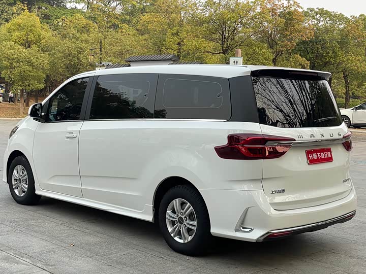 Фото 5 - Maxus G20