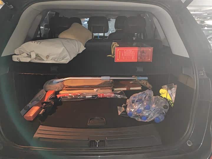 Фото 4 - Roewe RX5 Hybrid