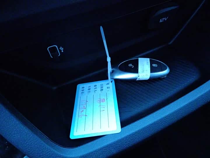 Фото 9 - Bestune NAT