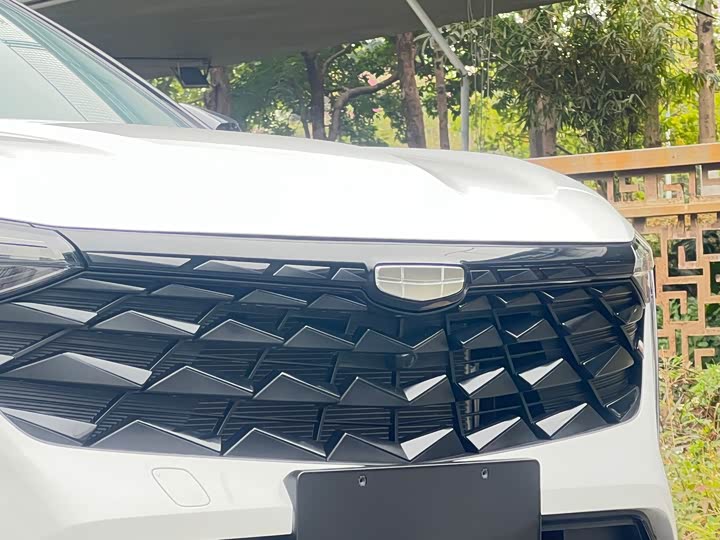 Фото 8 - Geely Atlas