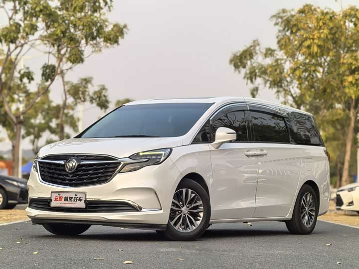 Фото 1 - Buick GL8 ES