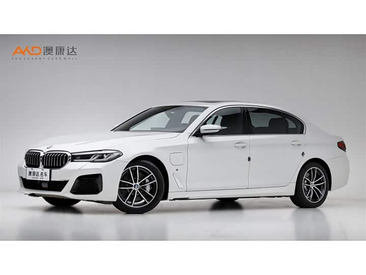 Фото 1 - BMW 5 Series Hybrid