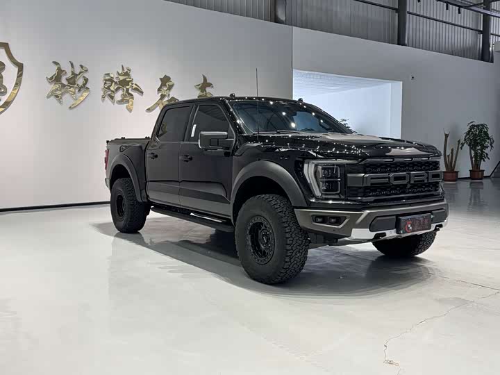 Фото 3 - Ford F-150 Raptor