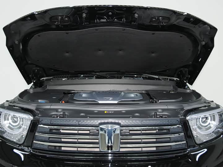 Фото 6 - Tank 700 Hybrid