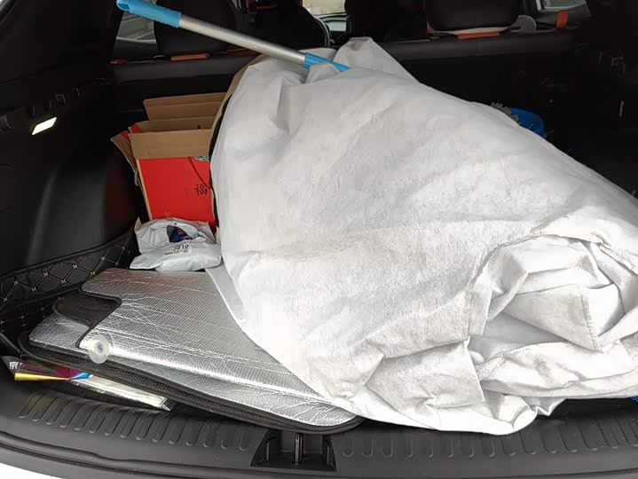 Фото 4 - Geely Atlas