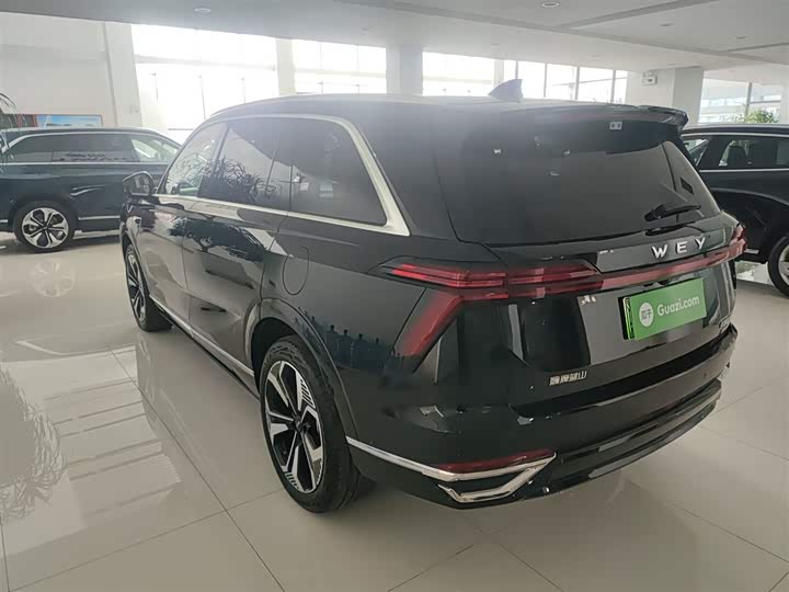 Фото 5 - Wey Lanshan