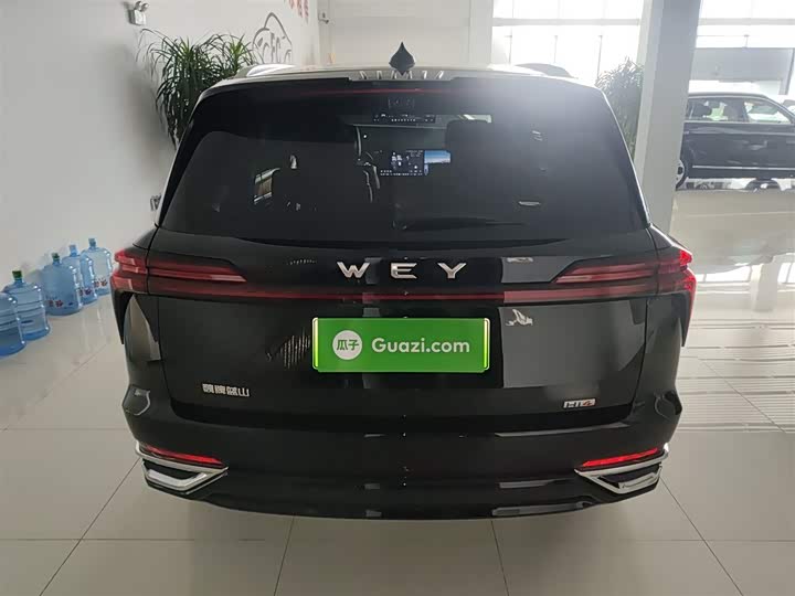 Фото 6 - Wey Lanshan