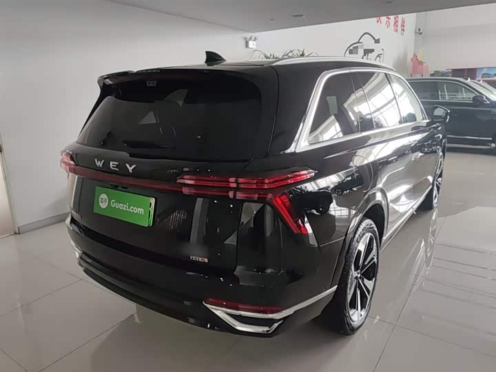 Фото 7 - Wey Lanshan