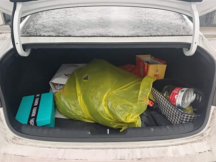 Фото 4 - Hyundai Elantra N line