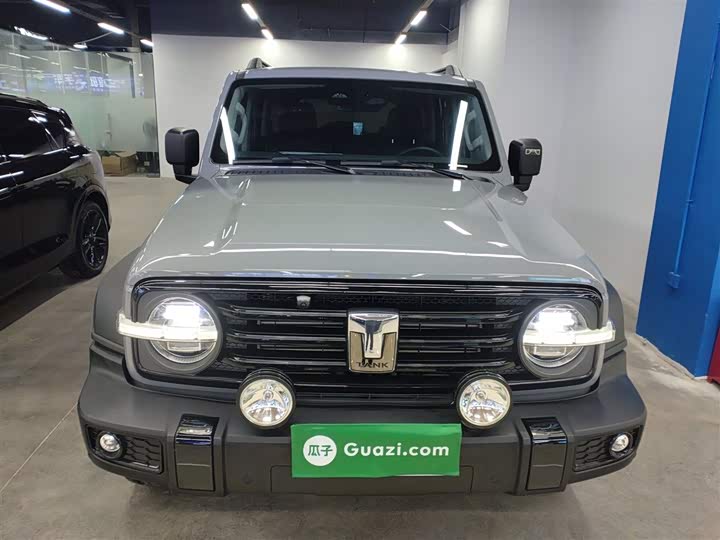 Фото 3 - Tank 300