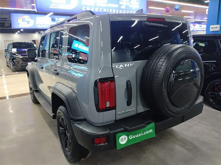 Фото 5 - Tank 300