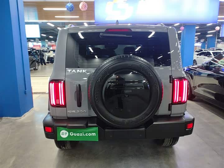 Фото 6 - Tank 300