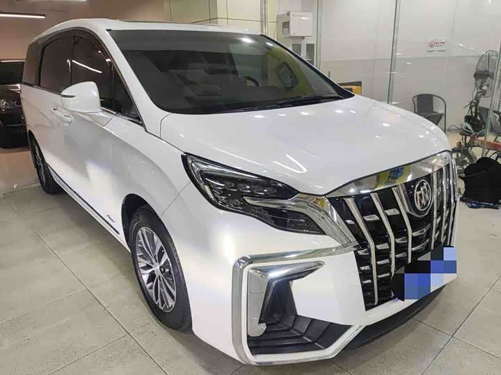 Фото 2 - Buick GL8 ES