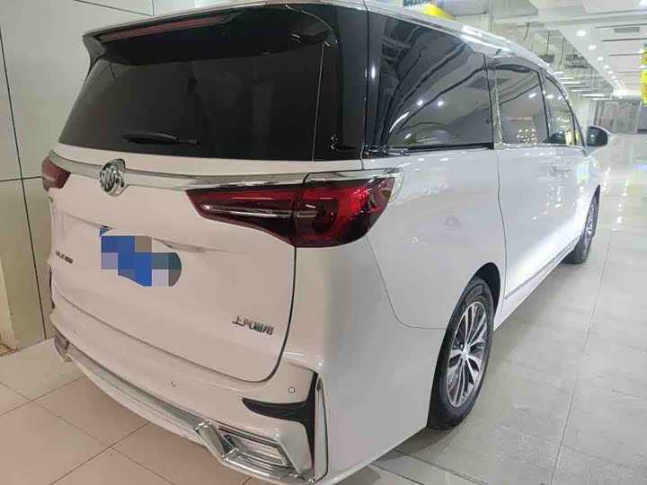 Фото 3 - Buick GL8 ES