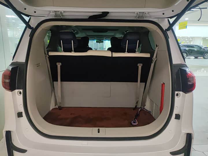 Фото 9 - Buick GL8 ES