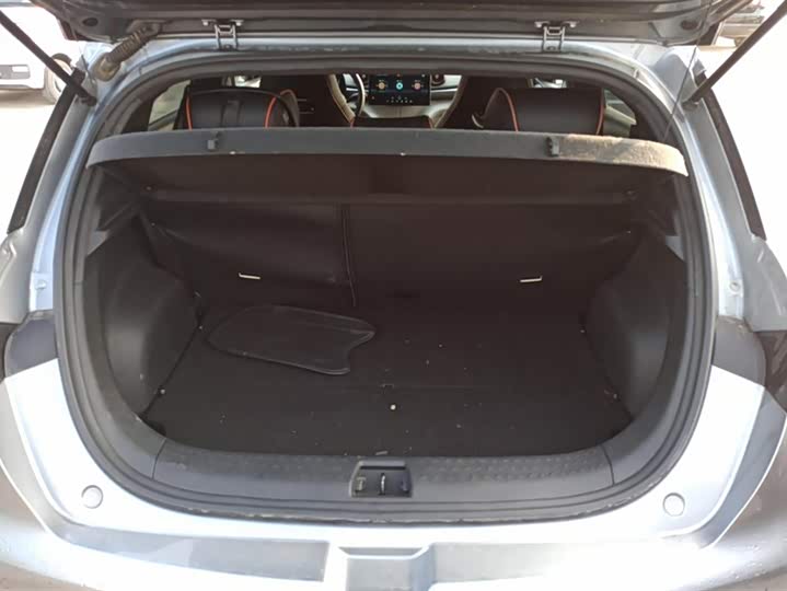 Фото 4 - BYD Dolphin