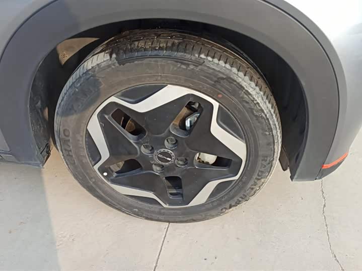 Фото 6 - BYD Dolphin