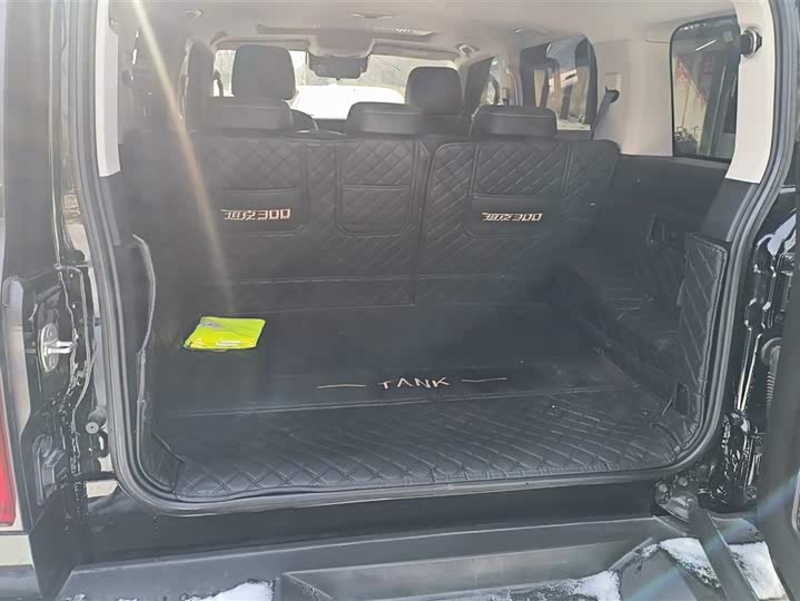 Фото 4 - Tank 300