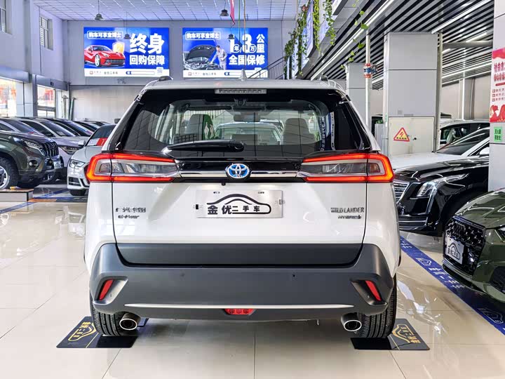 Фото 4 - Toyota Wildlander