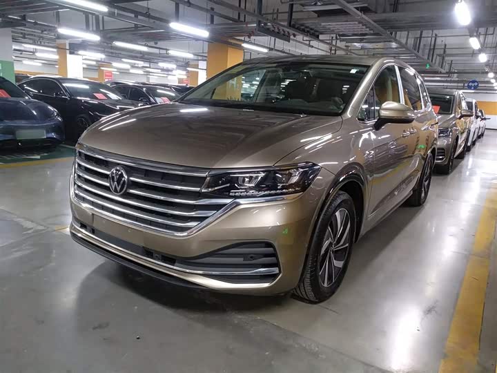 Фото 2 - Volkswagen Viloran