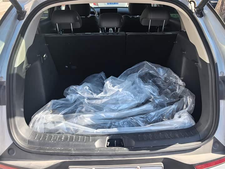 Фото 4 - BYD Yuan Plus