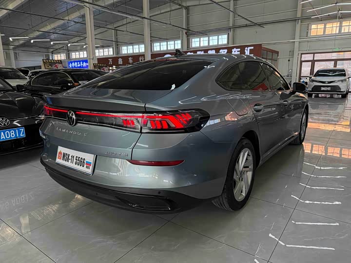 Фото 4 - Volkswagen Lamando L