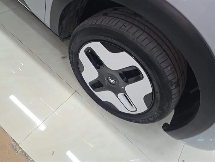 Фото 6 - BAIC Arcfox Kaola S