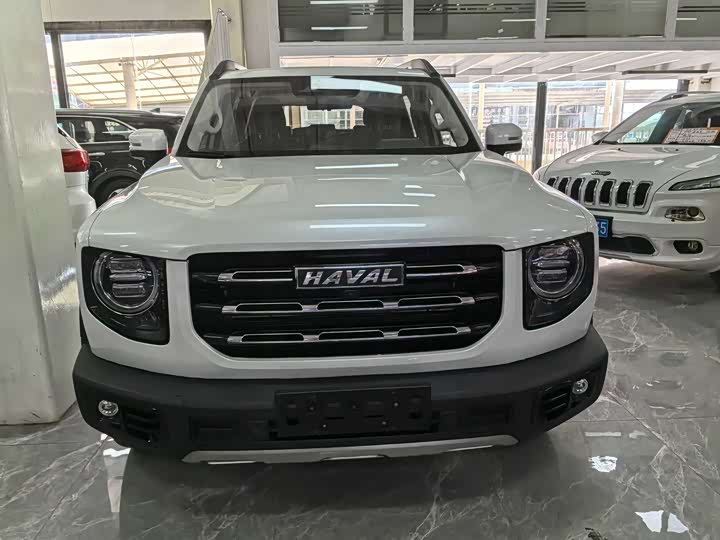 Фото 2 - Haval Dargo