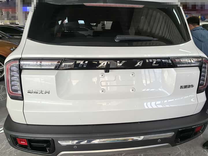 Фото 3 - Haval Dargo