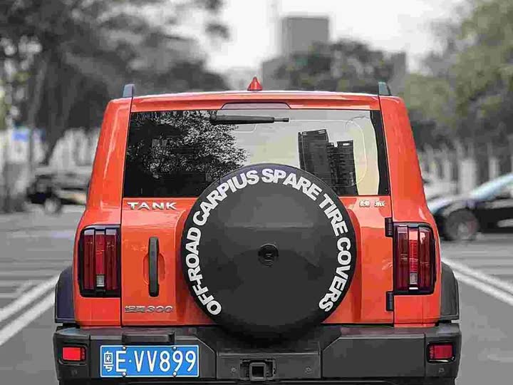 Фото 5 - Tank 300