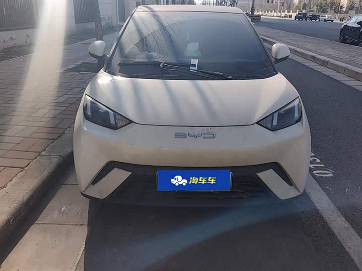 Фото 2 - BYD Seagull