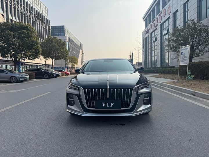 Фото 3 - Hongqi H5