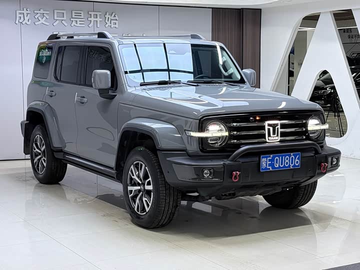 Фото 2 - Tank 300