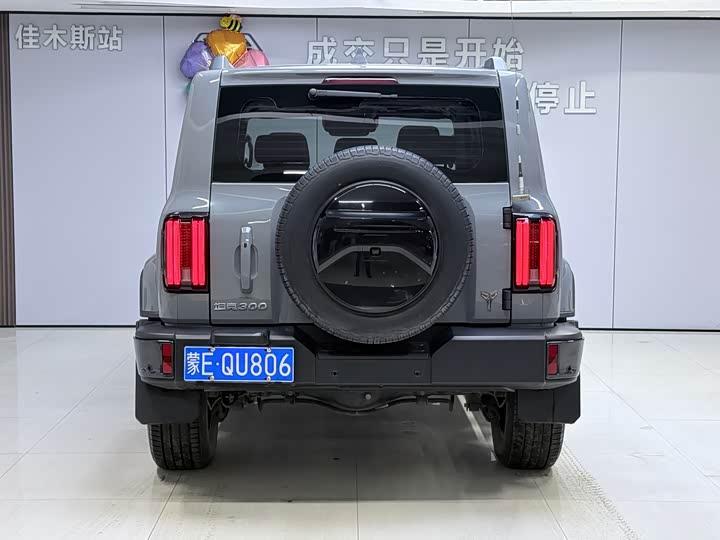 Фото 8 - Tank 300