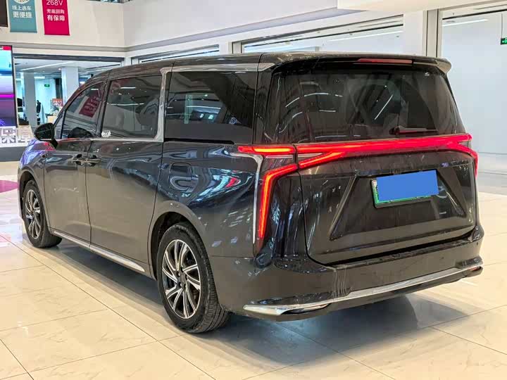 Фото 4 - Maxus Mifa 9