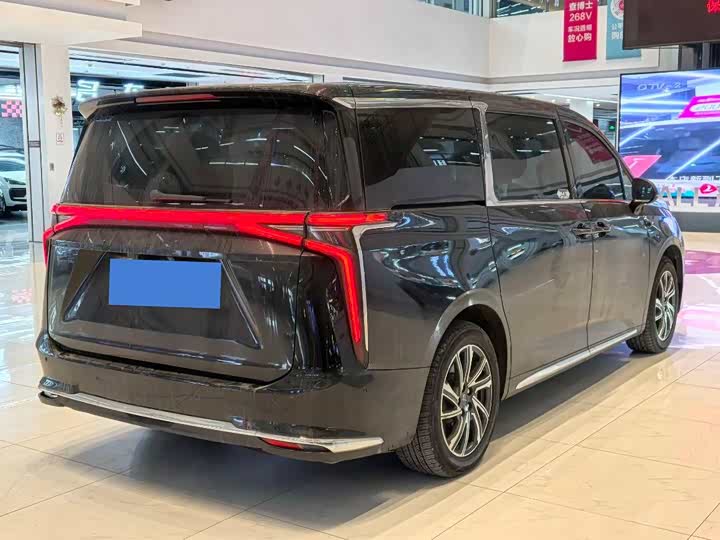 Фото 6 - Maxus Mifa 9