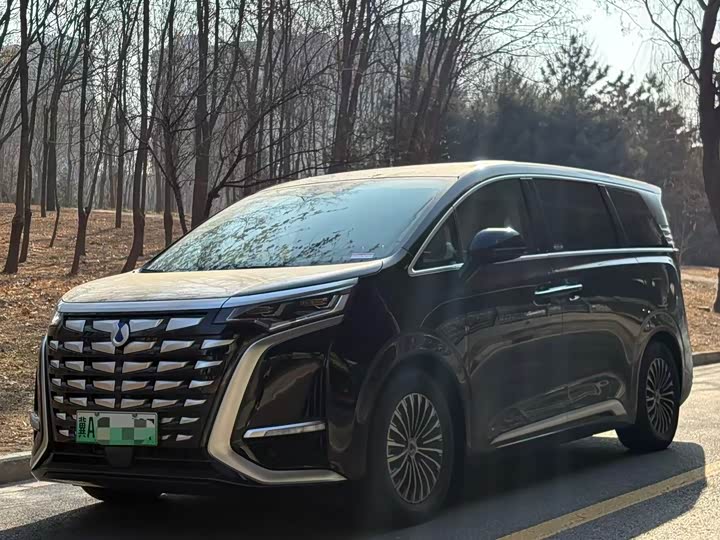 Фото 1 - Denza D9