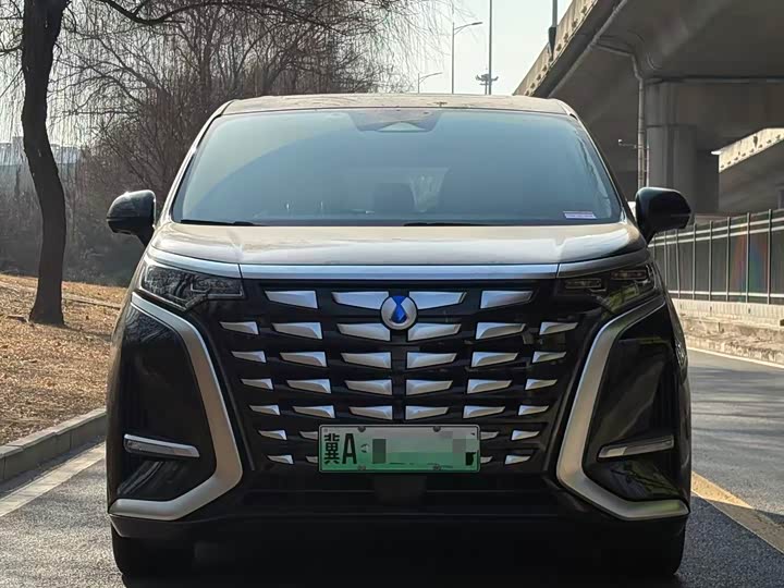 Фото 2 - Denza D9