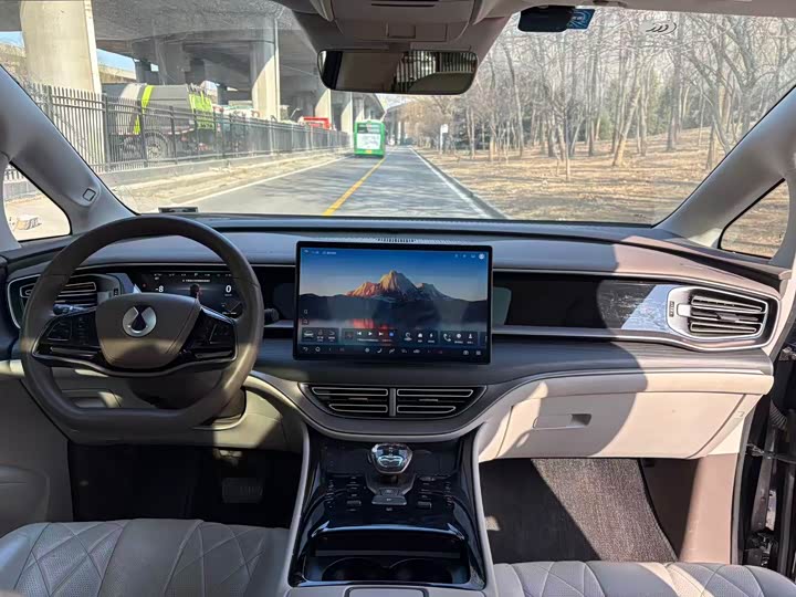 Фото 5 - Denza D9