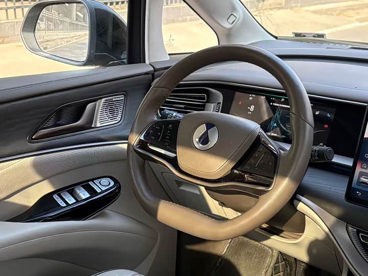 Фото 6 - Denza D9