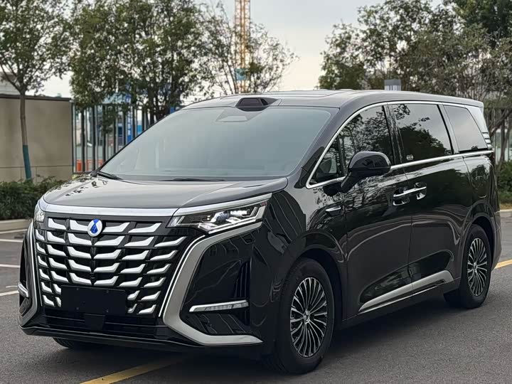 Фото 1 - Denza D9