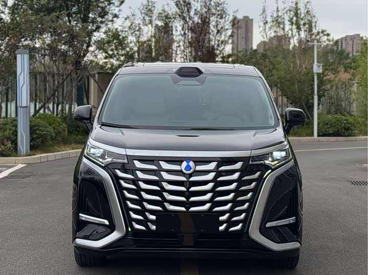 Фото 2 - Denza D9