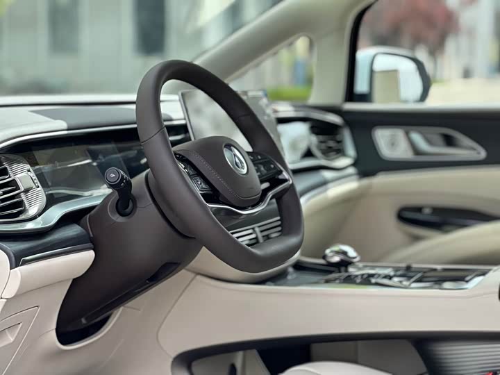 Фото 3 - Denza D9