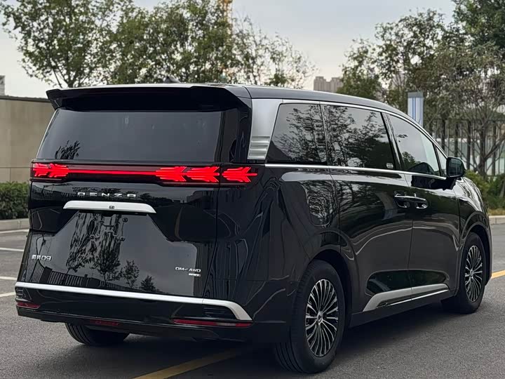 Фото 5 - Denza D9