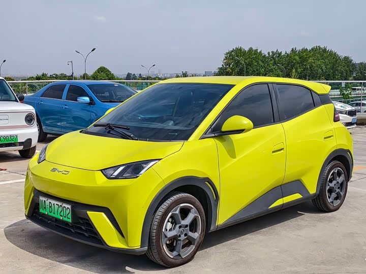 Фото 1 - BYD Seagull