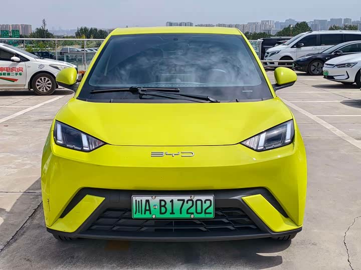 Фото 2 - BYD Seagull