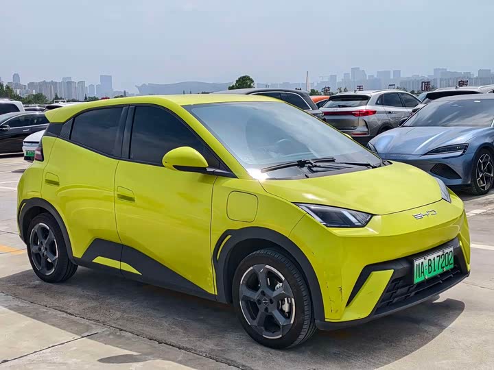 Фото 3 - BYD Seagull