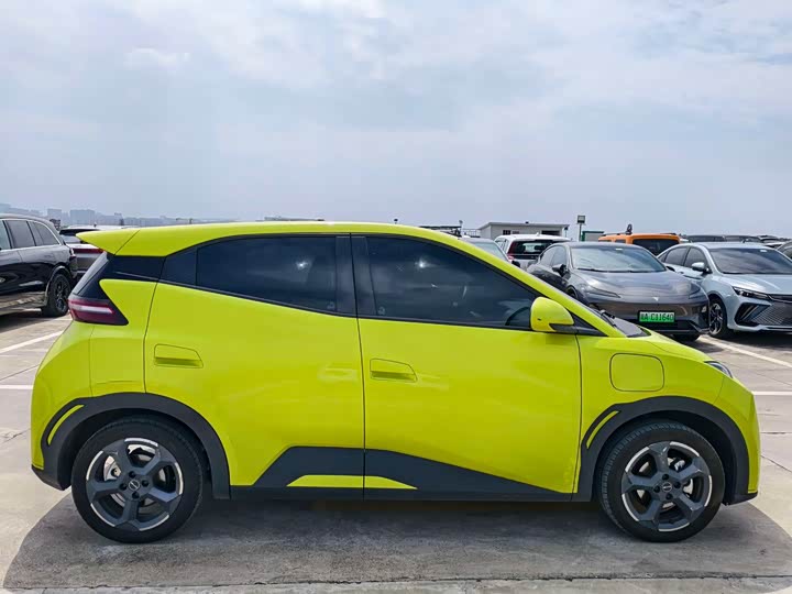 Фото 4 - BYD Seagull