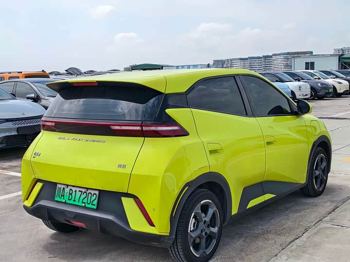 Фото 5 - BYD Seagull