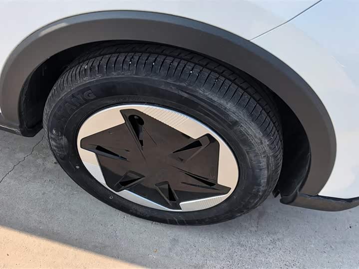 Фото 6 - Geely Geometry E Firefly